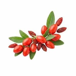 Goji